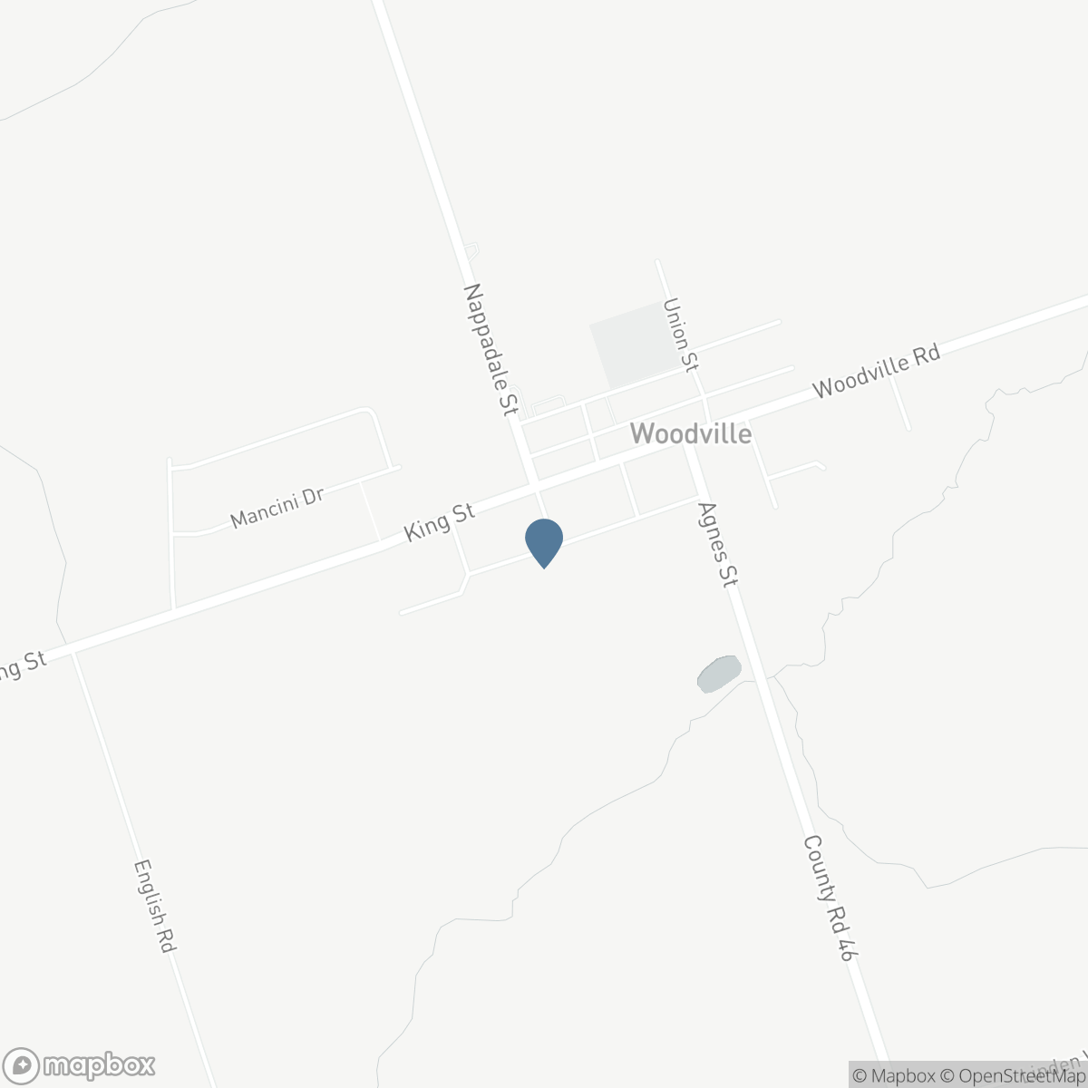 100 NAPPADALE STREET, Kawartha Lakes, Ontario K0M 2T0